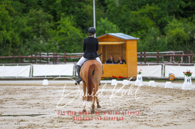 DKP46754 | Turniersportfotografie; Pferdefotografie; Dressurfotografie