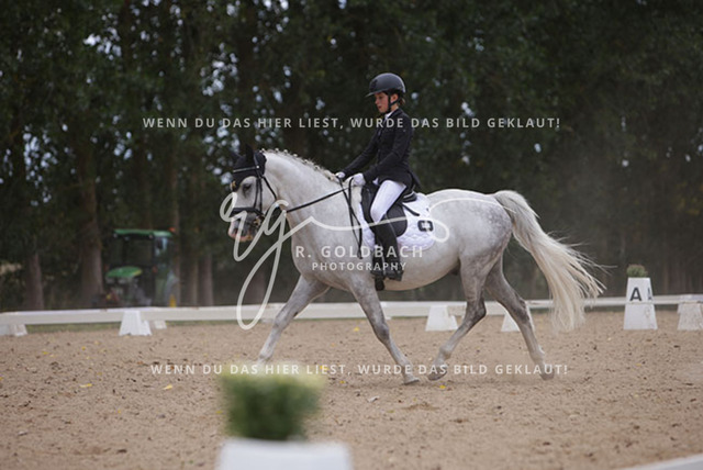 1J2A0836Charlotte Fehr_ Ikon 16_ Kn061_ Wöpkendorf_ Annalena Beier_ Quinn M_ Kn095 | Foto- und Videografie für alles rund ums Pferd. Hochwertige Bilder und Videos vom Spring- und Dressurreiten, Voltigieren & mehr. Jetzt aktuelle Veranstaltungen und Preise im Shop ansehen. - Realisiert mit Pictrs.com