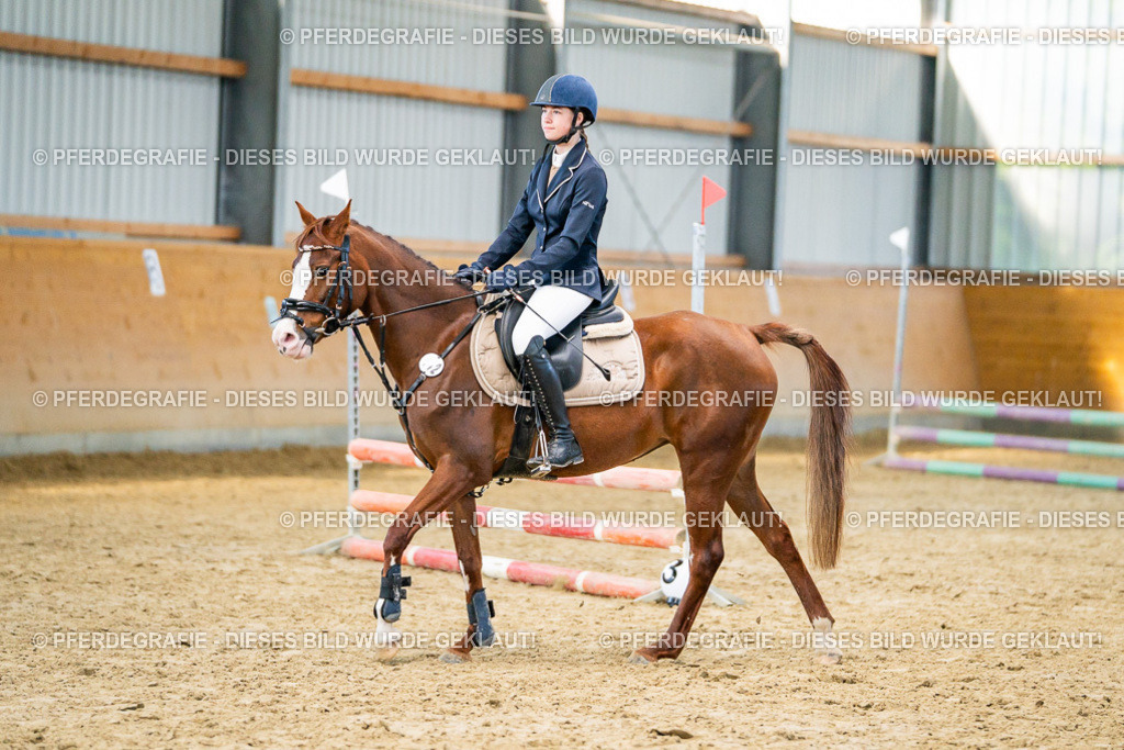 DSC00943 | Pferdegrafie