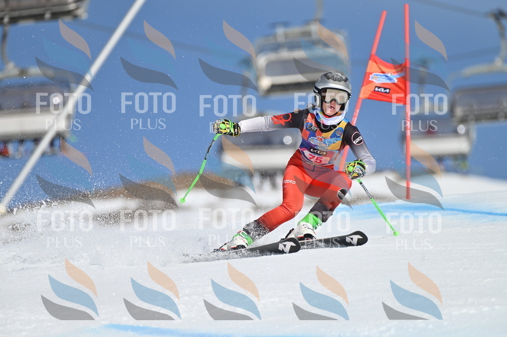 BGV_8994 | holidayphoto