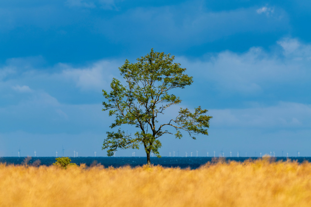 2025_07_09_FEHMARN-LEUCHTTURM+SCHMETTERLINGE_MCP8873 | Hochwertig gedruckte Fotografien für die Wand, als Kalender und zum Verschenken. Hamburg & Norddeutschland und überall wo ich mit der Kamera unterwegs war.