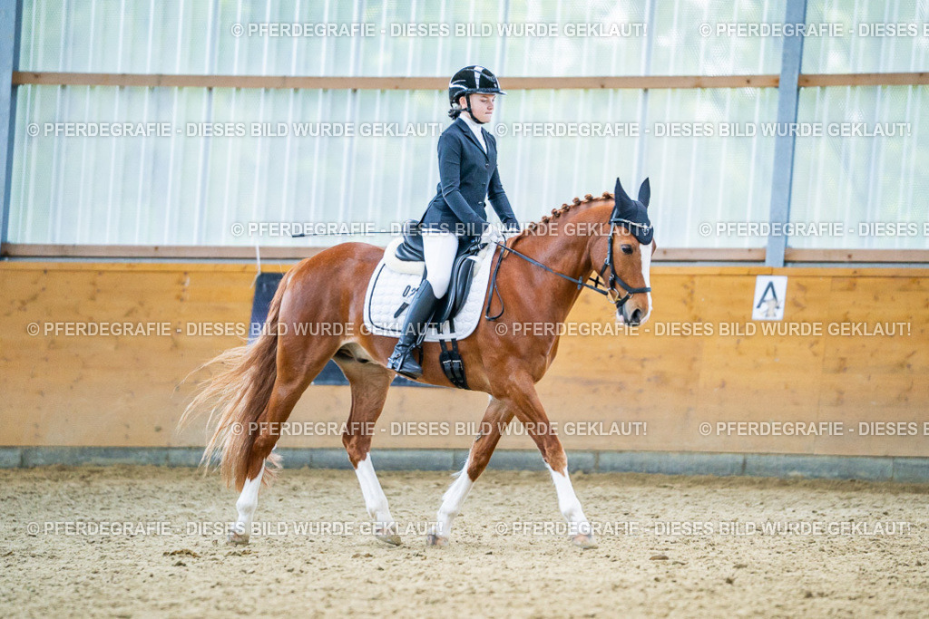 DSC04688 | Pferdegrafie