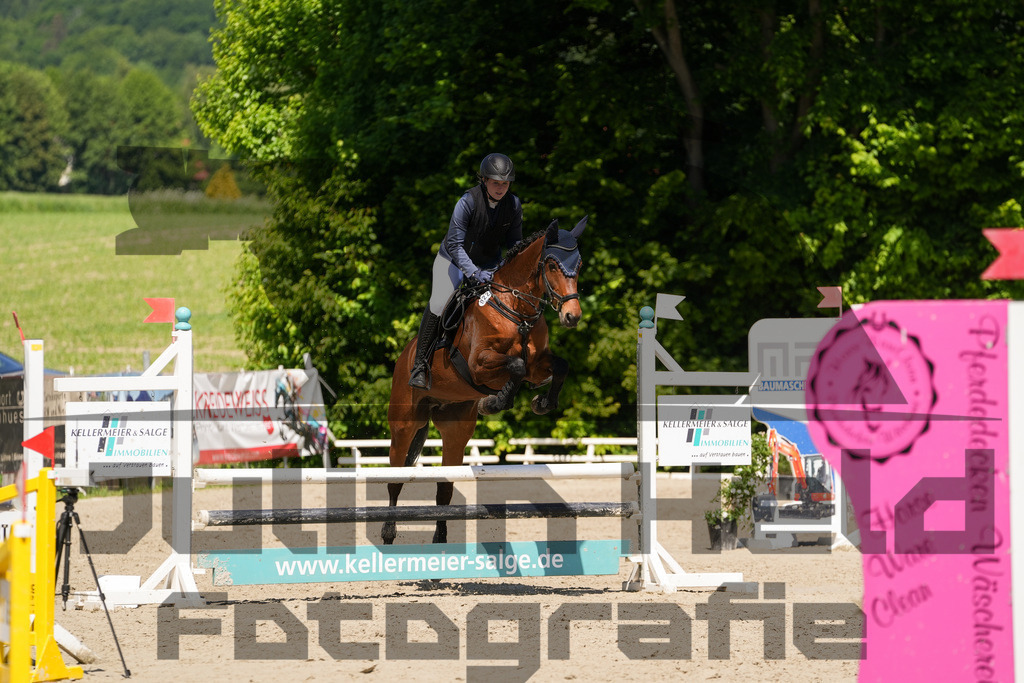 DSC02300 | Julian Held Fotografie - Realisiert mit Pictrs.com