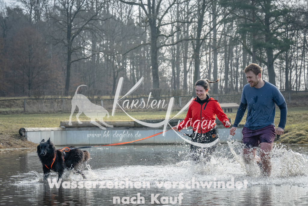 1001_ZZ95486 | kk-dogfotos