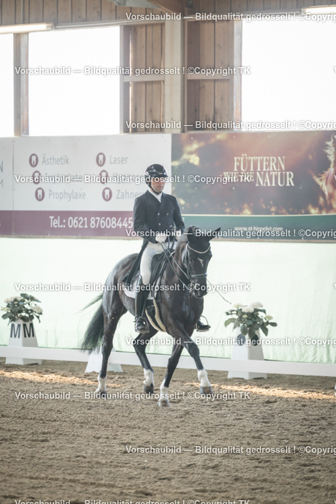 _D5A7968 | Emotionale Pferde- & People-Fotografie rund um Heidelberg, Leimen & Umgebung. Natürliche Fotos von Pferd, Mensch & Familie. Jetzt Termin sichern!