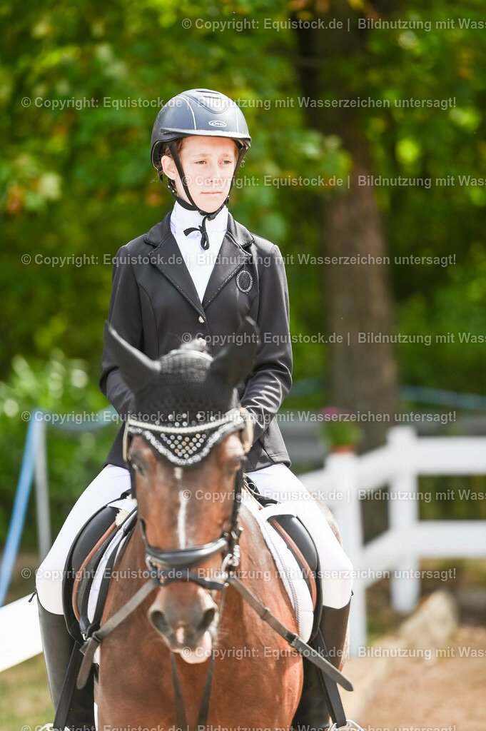 20230716_10-2_Reiter-WB Schritt - Trab - Galopp_0195 | equistock