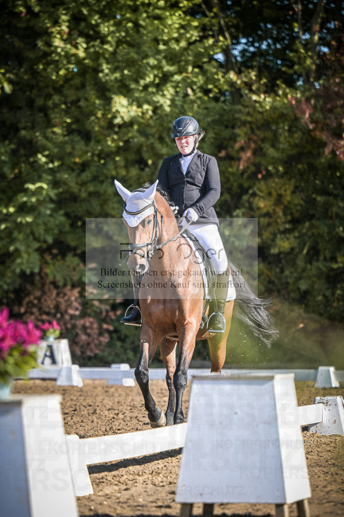 DOS_1008 | Entdecke hochwertige Reitturnierfotos von Foto Oger. Professionell, emotional und authentisch – jetzt Lieblingsmomente im Shop bestellen.Deutschlandweite Turnierfotografie. - Realisiert mit Pictrs.com