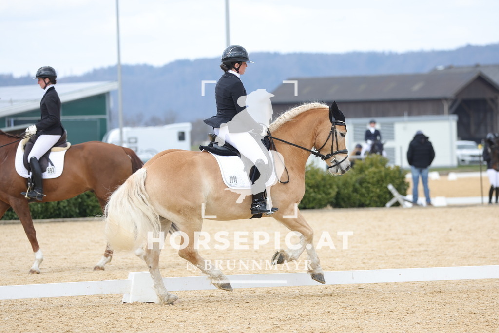 0P6A6928 | Willkommen bei Brunnmayr - Design & Fotografie – Ihrem Spezialisten für Reitturniere und Pferdeveranstaltungen in Oberösterreich, Salzburg und Bayern! Seit über 17 Jahren sind wir leidenschaftlich dabei.