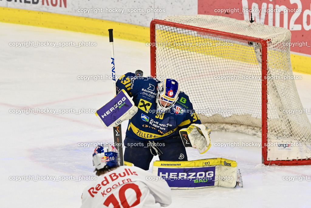 RED BULL HOCKEY JUNIORS vs. EK DIE ZELLER EISBÄREN | #30 Zimmermann Max EK DIE ZELLER EISBÄREN, RED BULL HOCKEY JUNIORS vs. EK DIE ZELLER EISBÄREN, RED BULL HOCKEY JUNIORS vs. EK DIE ZELLER EISBÄREN am 14.01.2025 in Salzburg (Eisarena Salzburg), Austria, (Photo by Bernd Stefan)