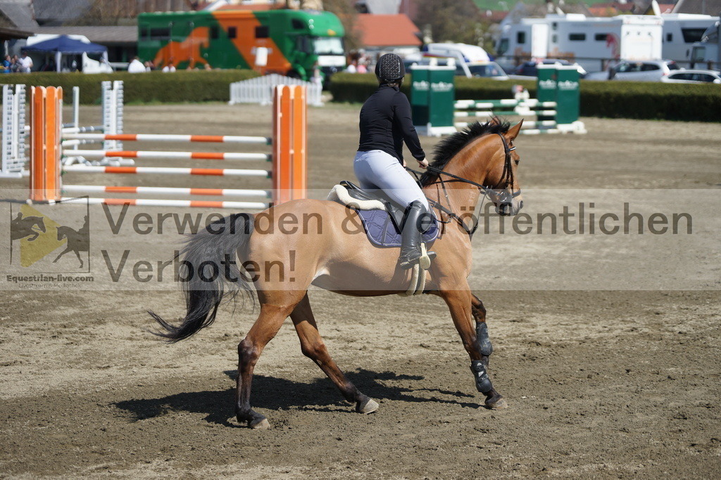 DSC02935 | equestrian-live-com