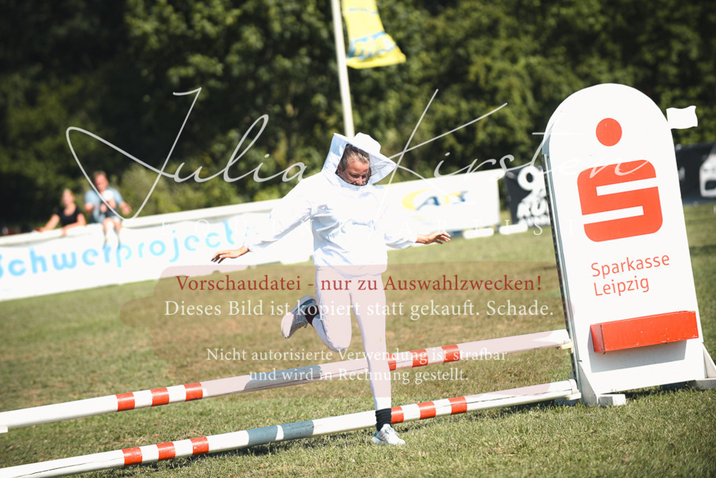 DSC_7688 | Pferde- und Turnierfotografie in Westsachsen. Pferdeportraits, Auftragszeichnungen und intuitive Kunst.