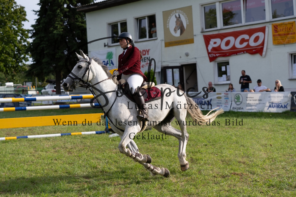 A7V04982 | Pferdefotograf