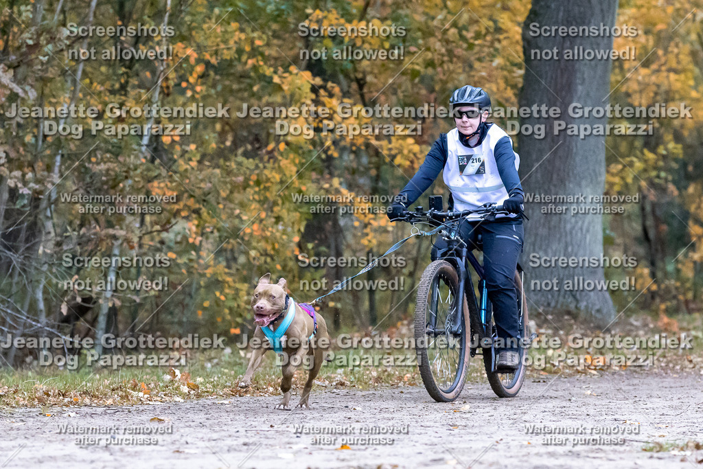 Dog Paparazzi - SD CaniX Championship 2025-250 | Dog Paparazzi Jeanette Grottendiek Fotografie & Videografie - Realisiert mit Pictrs.com