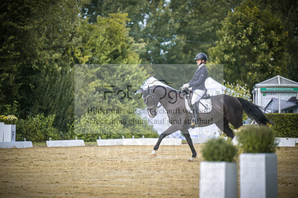 DOS_5740 | Entdecke hochwertige Reitturnierfotos von Foto Oger. Professionell, emotional und authentisch – jetzt Lieblingsmomente im Shop bestellen.Deutschlandweite Turnierfotografie. - Realisiert mit Pictrs.com