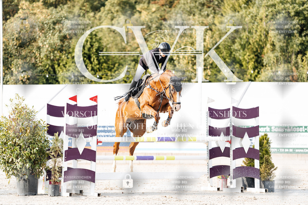 CK903300 | Turnierfotografie Pferdefotografie Trier Rheinland-Pfalz Pferdesport Reitsport Tierfotografie Sportfotografie Pferdevideo Pferdevideografie Equestrianvideography equestrianphotography  - Realisiert mit Pictrs.com