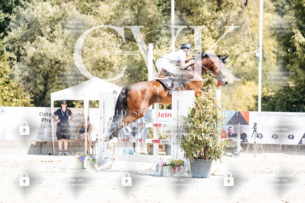 CK900554 | Turnierfotografie Pferdefotografie Trier Rheinland-Pfalz Pferdesport Reitsport Tierfotografie Sportfotografie Pferdevideo Pferdevideografie Equestrianvideography equestrianphotography  - Realisiert mit Pictrs.com