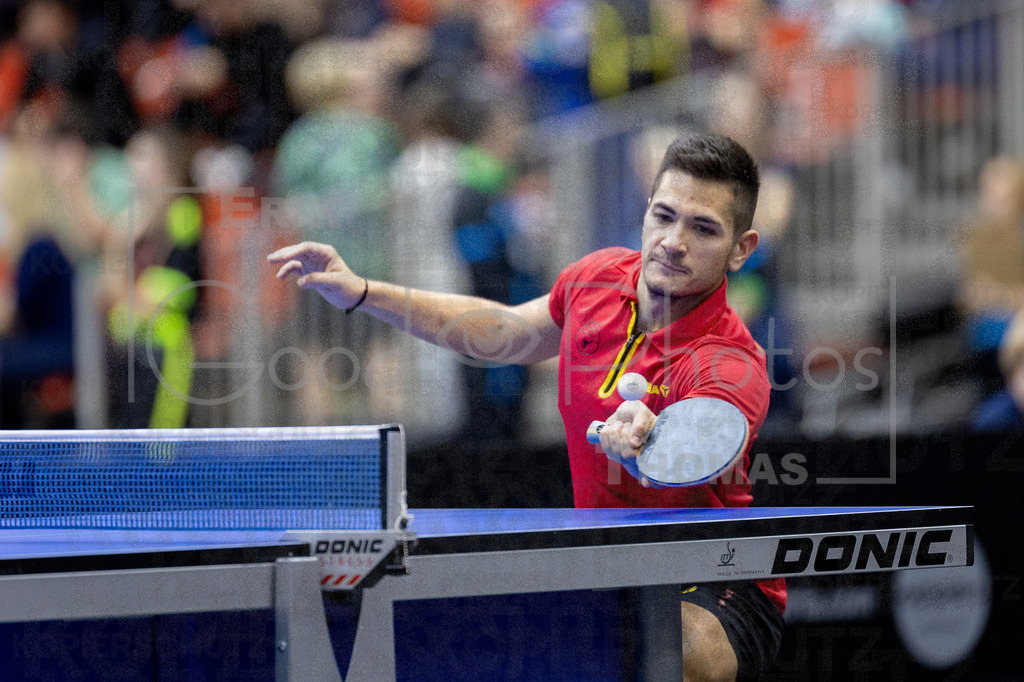 European_Championships_2024-10-18_106 | good-photos - Realizado com Pictrs.com