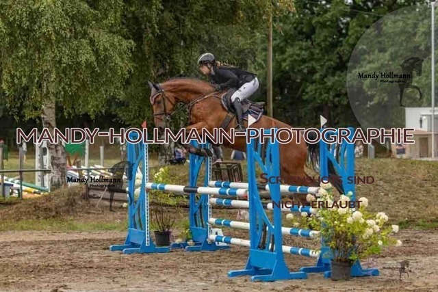 26-8-7 SPR L-147 | mandyhollmannphotographie
