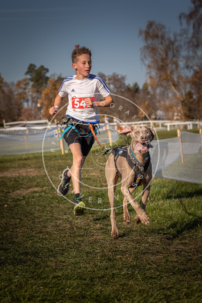 CaniXpix_0L8A7564 | Hundefotografie, Tierfotograf, Pfotenfotografie, Fotoshooting Hund, Hunde Portrait, Hundesport, Hundeportraits, Heideshooting, Hunde, Sportfotograf, Hundefotograf, Turnierhundsport, THS,  - Realisiert mit Pictrs.com
