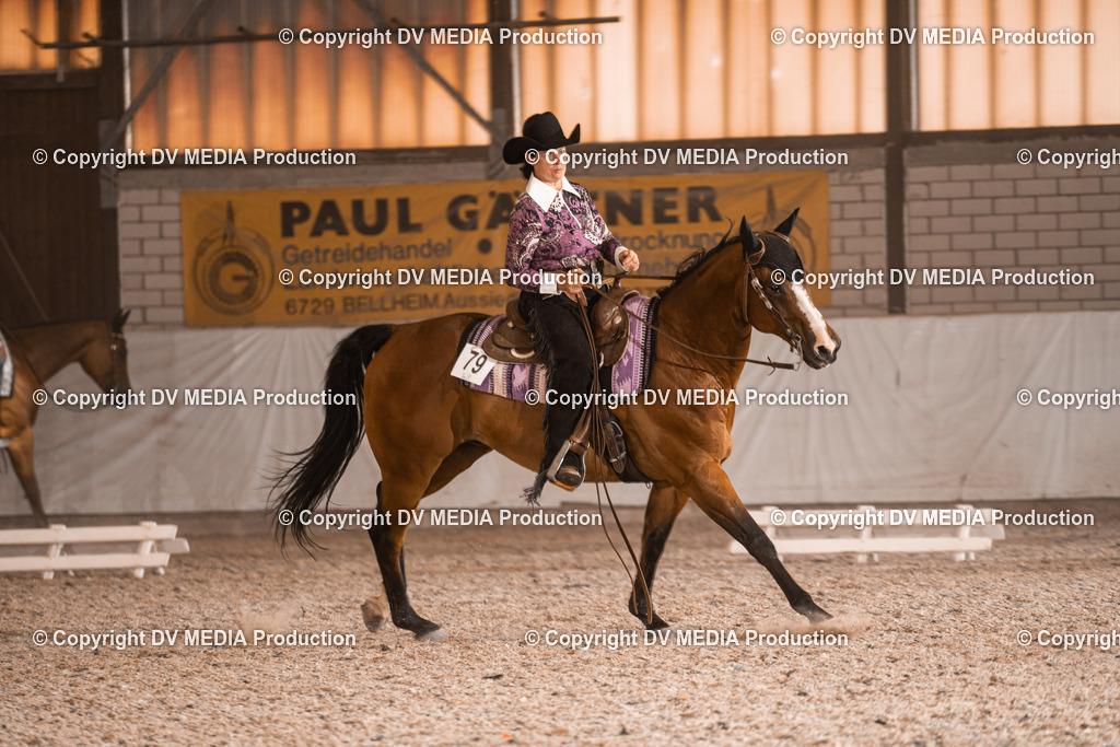 ZH100860 | dv-media-shop - Realisiert mit Pictrs.com