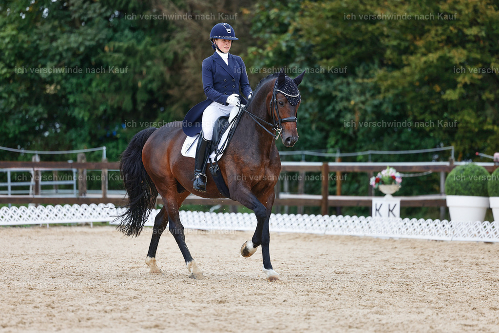 8_2-056-DRESSUR S_  -StoibPH-4411 | working equitationturnier fotograf videograf stoibphotography marixx film working equitation deutschland reitsport turnierfotografie eventfotografie equestrian events