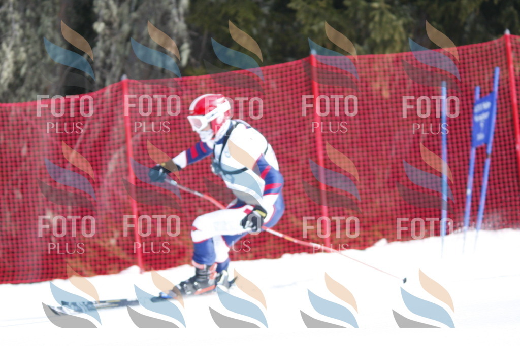 D6646 | holidayphoto