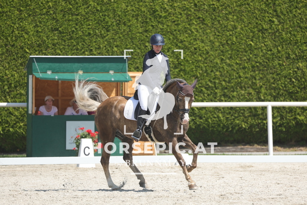 0P6A2633 | Willkommen bei Brunnmayr - Design & Fotografie – Ihrem Spezialisten für Reitturniere und Pferdeveranstaltungen in Oberösterreich, Salzburg und Bayern! Seit über 17 Jahren sind wir leidenschaftlich dabei.