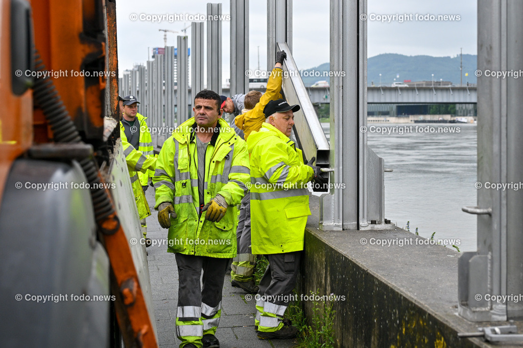 Linz_ Urfahr_ Donau_ Hochwasser_ 04.06.2024-43 | 04.06.2024, Linz, AUT, Urfahr, Hochwasser, im Bild Donau, Donaulaende Linz Urfahr, Hochwasserschutz, Aufbau Magistrat Linz