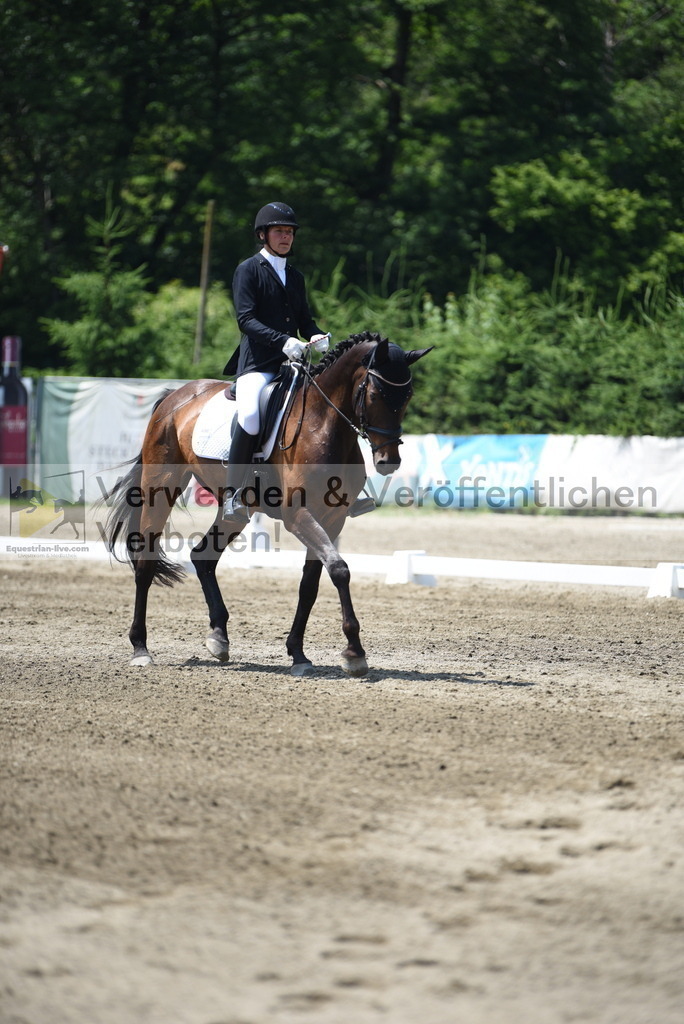 DSC_0115 | equestrian-live-com