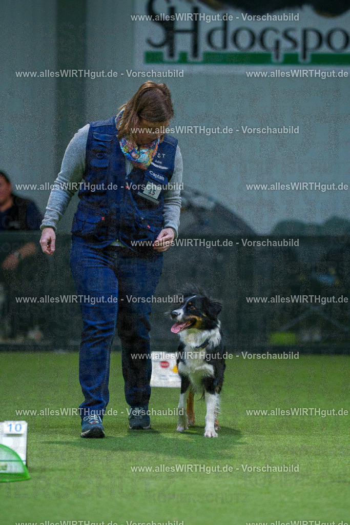 7R500557 | Professionelle Tierfotografie in Mönchengladbach von Daniel Wirth (allesWIRTHgut). Liebevolle & natürliche Bilder von Hunden & Katzen für unvergessliche Erinnerungen.