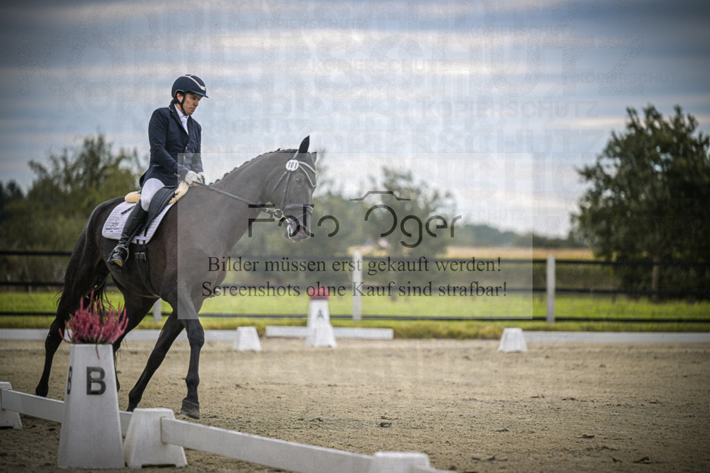 DOS_0396 | Entdecke hochwertige Reitturnierfotos von Foto Oger. Professionell, emotional und authentisch – jetzt Lieblingsmomente im Shop bestellen.Deutschlandweite Turnierfotografie. - Realisiert mit Pictrs.com