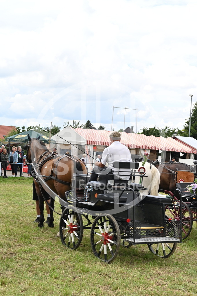 DSC_4244 | sattelsport - Realisiert mit Pictrs.com