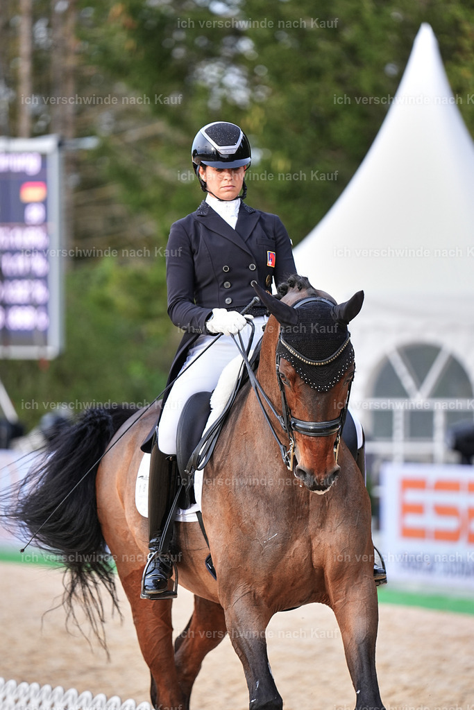 13-186-S___ -Marixx-7083 | working equitationturnier fotograf videograf stoibphotography marixx film working equitation deutschland reitsport turnierfotografie eventfotografie equestrian events