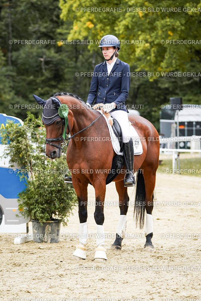 DSC02429 | Pferdegrafie