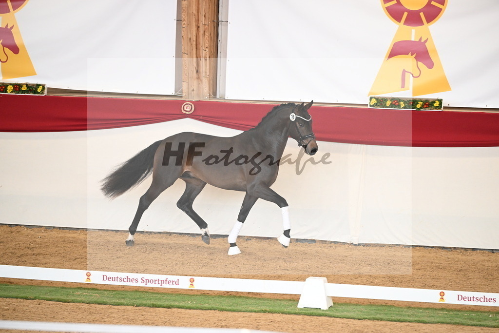 Kat.-Nr. 78 v. Springbank II VH_Reichert_2250751 | hf-fotografie - Realisiert mit Pictrs.com