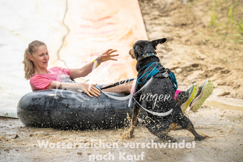 1251_ZZ99375 | kk-dogfotos