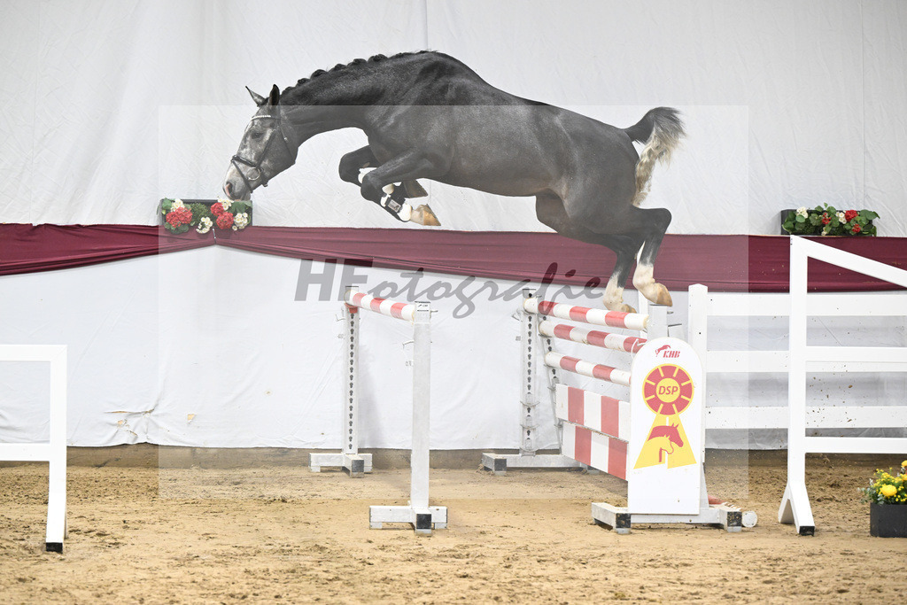 Kat-Nr. 71 Comilfo Plus Z x Casallco_PBM Pfefferle GmbH_47252846 | hf-fotografie - Realisiert mit Pictrs.com