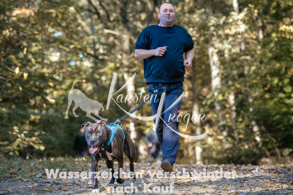 1122_ZZ92171 | kk-dogfotos