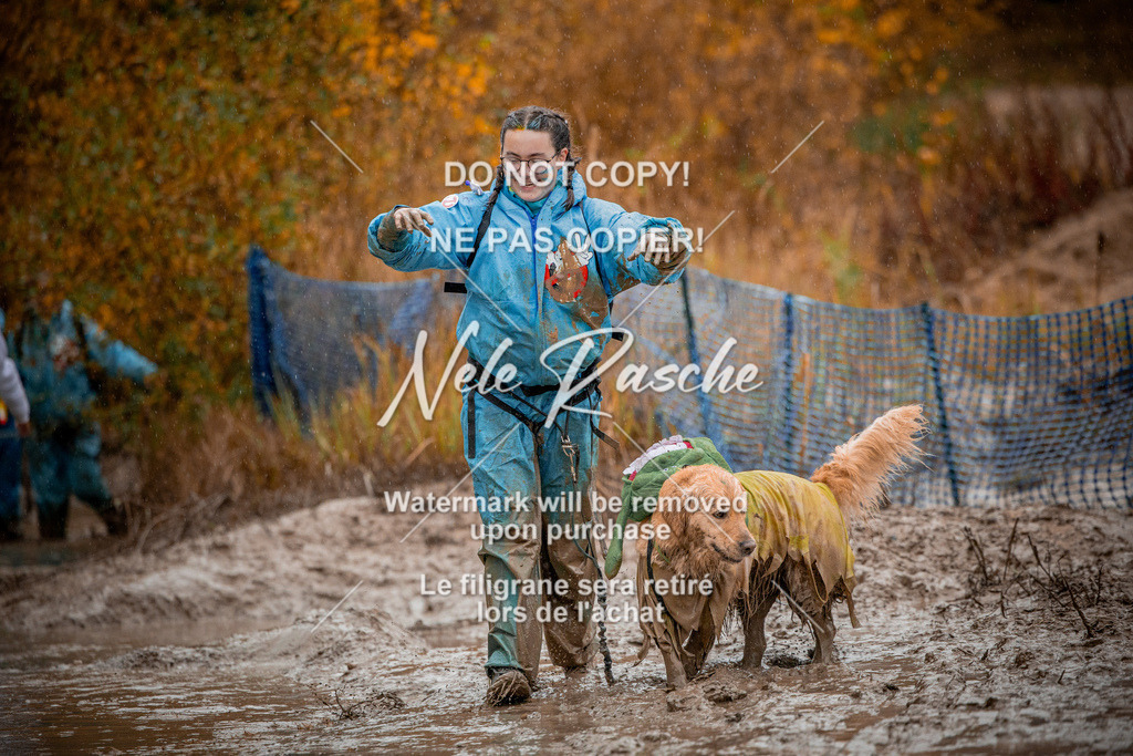 nelerasche_Creepy2025_Sa1400-Ende_161 | nelerasche