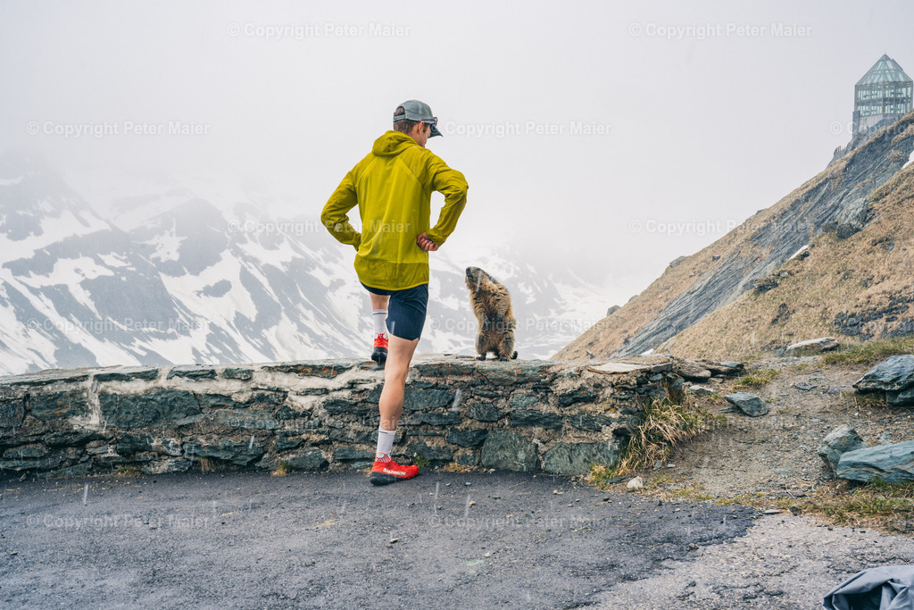 Pre_Grossglockner_Mountain_Run__Peter Maier-1280 | piet_flosse