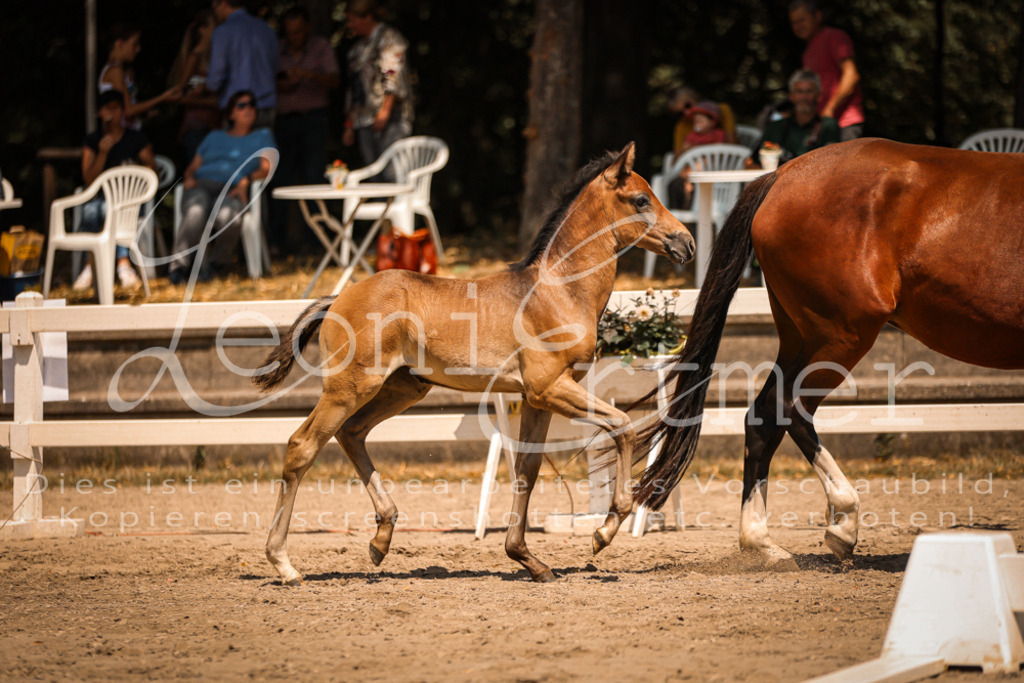 03.DoAB00008 | Leoni Ertmer Photography - Realisiert mit Pictrs.com