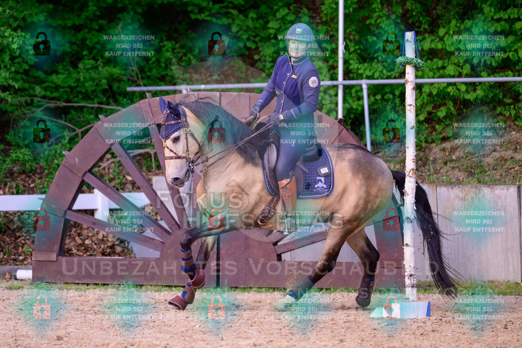 02052026-Giesenbach-03-Speedtrail-1334 | Fokus Hufschlag Fotografie - Realisiert mit Pictrs.com