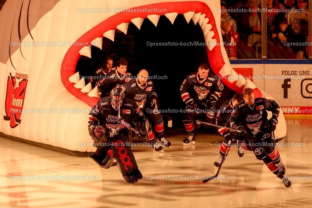 KEC03012501001 | 03.01.2025, Eishockey, Penny DEL, Kölner Haie - EHC Red Bull München, Spieltag 33, Lanxess-Arena Köln: Feature die Haie betreten das Eis