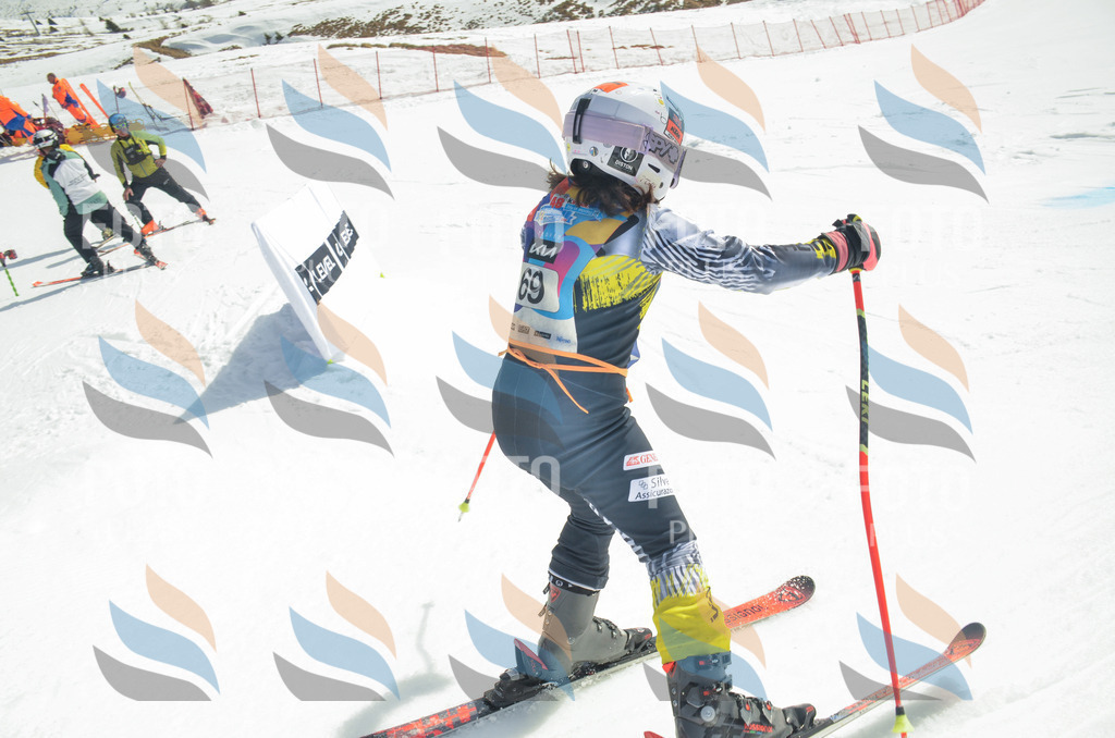 _ELE5423 | holidayphoto