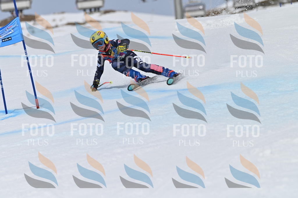 BGV_4503 | holidayphoto