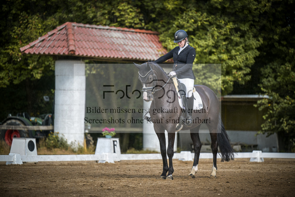 DOS_0153 | Entdecke hochwertige Reitturnierfotos von Foto Oger. Professionell, emotional und authentisch – jetzt Lieblingsmomente im Shop bestellen.Deutschlandweite Turnierfotografie. - Realisiert mit Pictrs.com