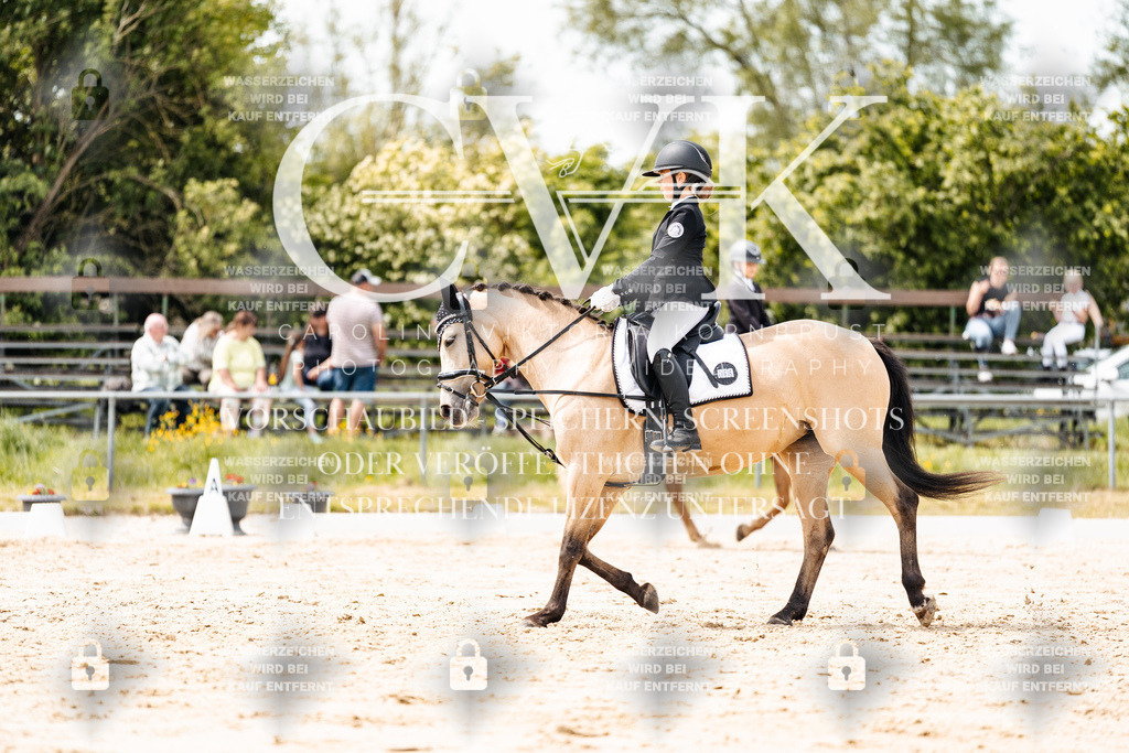 CK902464 | Turnierfotografie Pferdefotografie Trier Rheinland-Pfalz Pferdesport Reitsport Tierfotografie Sportfotografie Pferdevideo Pferdevideografie Equestrianvideography equestrianphotography  - Realisiert mit Pictrs.com