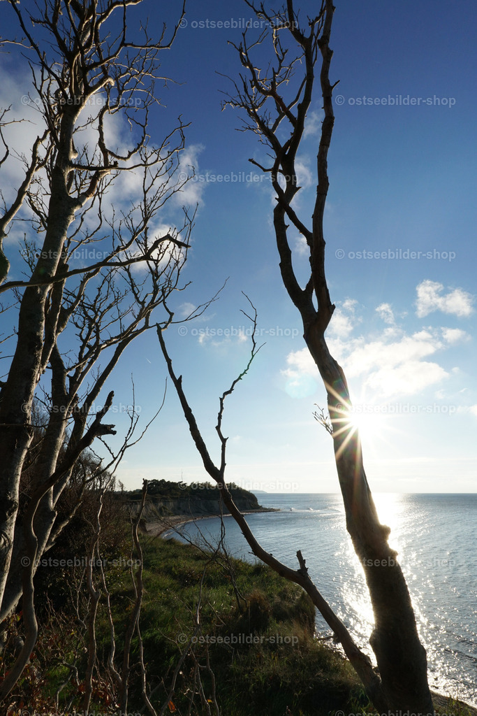 Steilufer mit Bäumen bei grellem Sonnenlicht | Das Bild zeigt mit hartem Kontrast die Bäume eines Waldstücks am Steilufer vor der grellen Nachmittagssonne über der Ostsee.