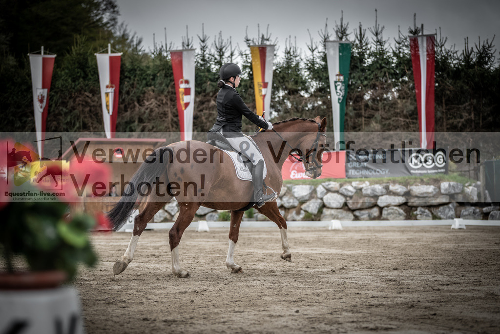 DSC_9684 | equestrian-live-com