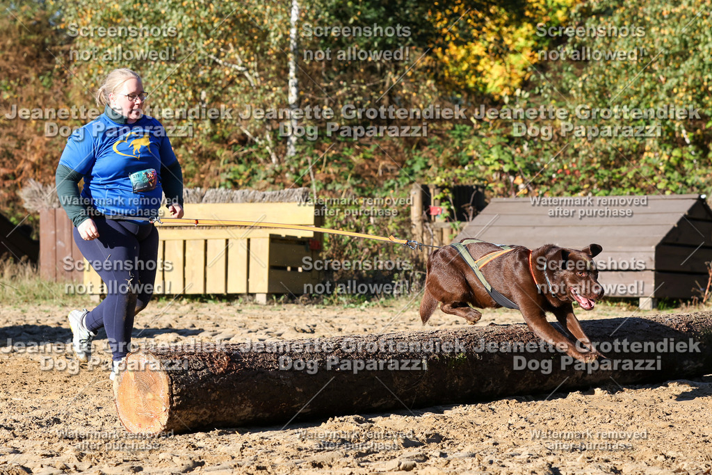 Dog Paparazzi - Strongdog 10-25-1669 | Dog Paparazzi Jeanette Grottendiek Fotografie & Videografie - Realisiert mit Pictrs.com